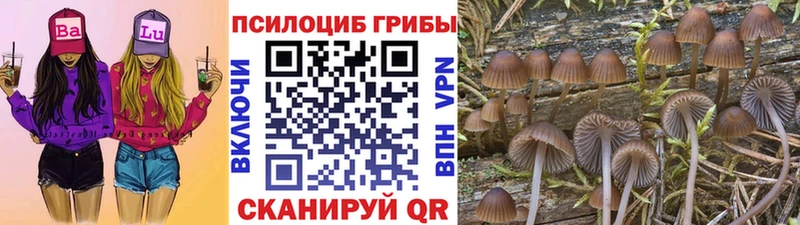 Галлюциногенные грибы MAGIC MUSHROOMS  Сортавала 