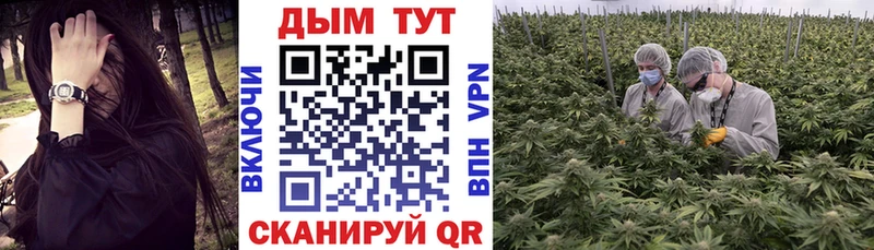 хочу   Сортавала  Шишки марихуана OG Kush 